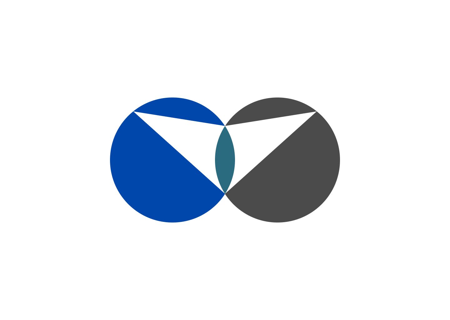 AVIDEF logo